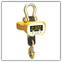 Crane Scales